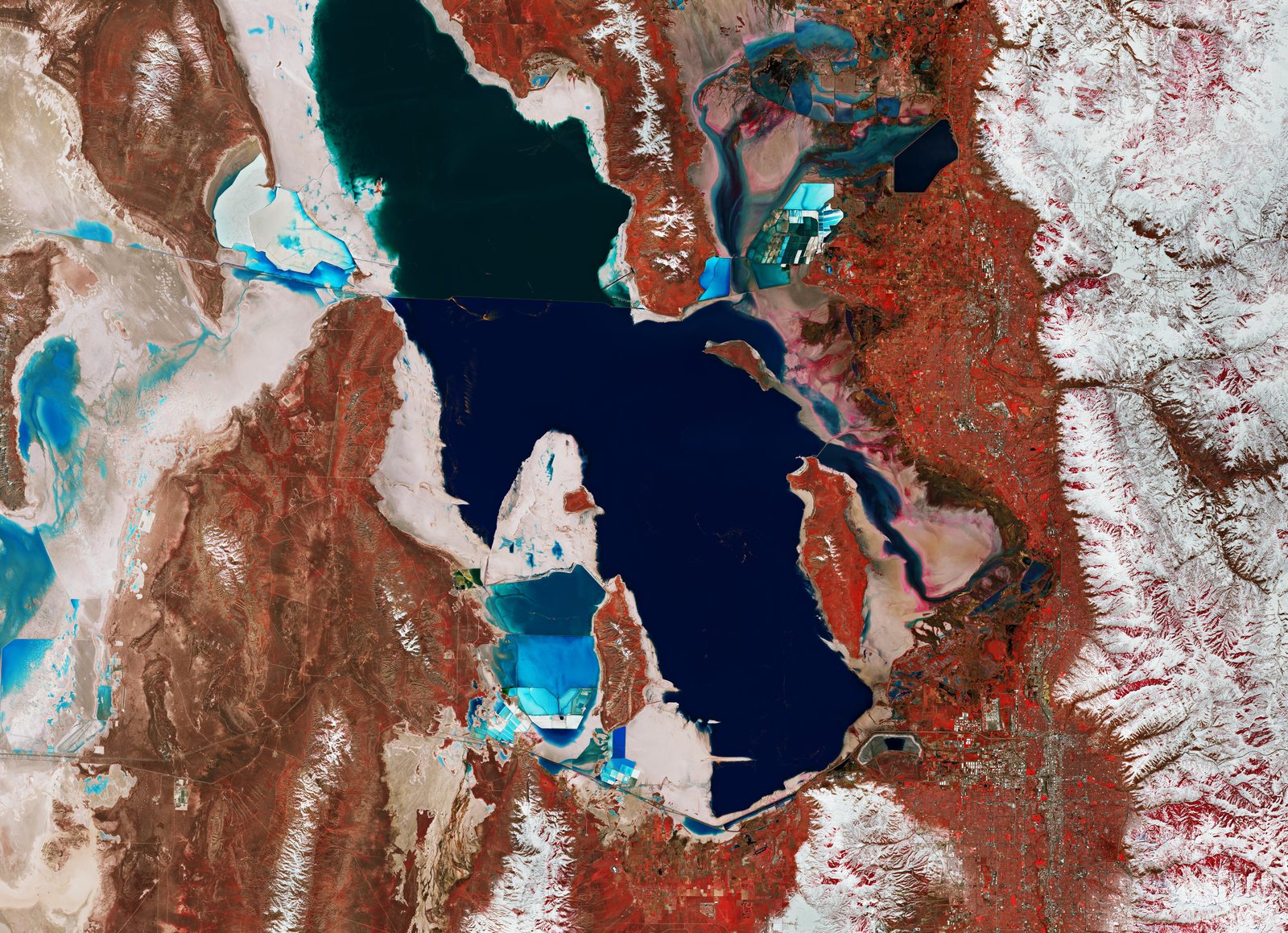 False-colour Copernicus Sentinel-2 image of Utah's Great Salt Lake: water deep blue, vegetation red, salt flats white, with the Lucin Cutoff causeway dividing the lake's two basins